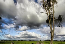 爱游戏-山东队横扫骑士，乔治关键制胜