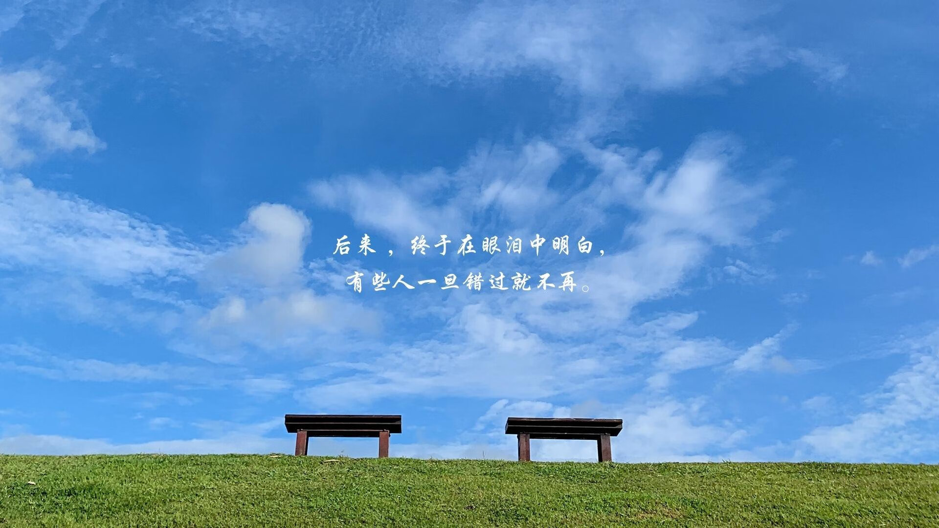 约基奇与骑士，荣耀与遗憾的交响曲