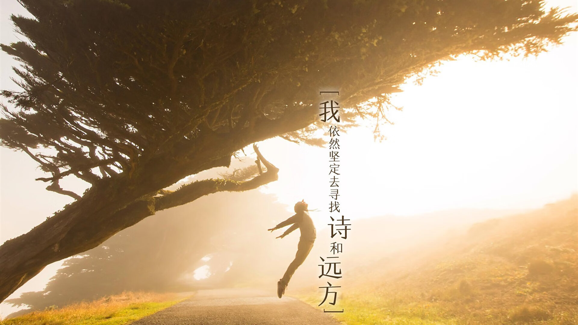 南粤之鹰遇上冠军之心，范弗利特在东方球馆的加冕之夜