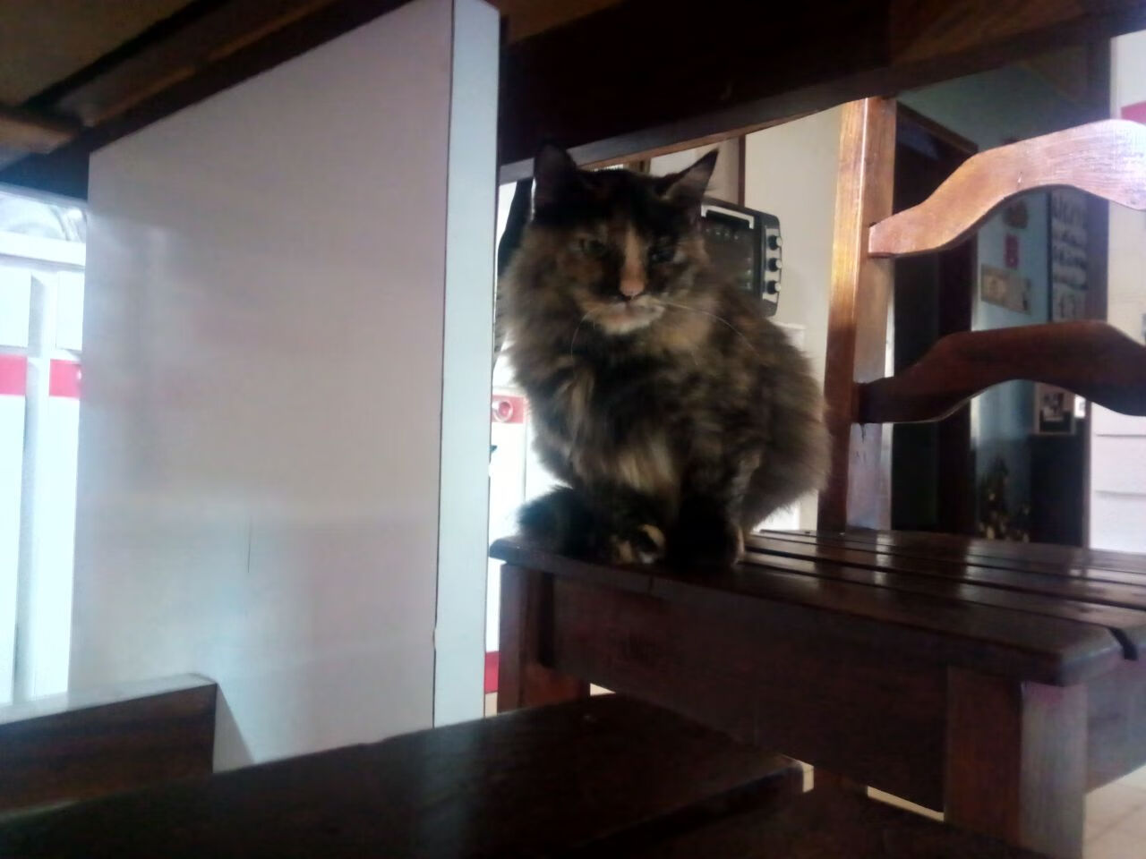 挥镰者的盛宴,克瓦拉茨赫利亚独舞,毕尔巴鄂三球收割拉齐奥