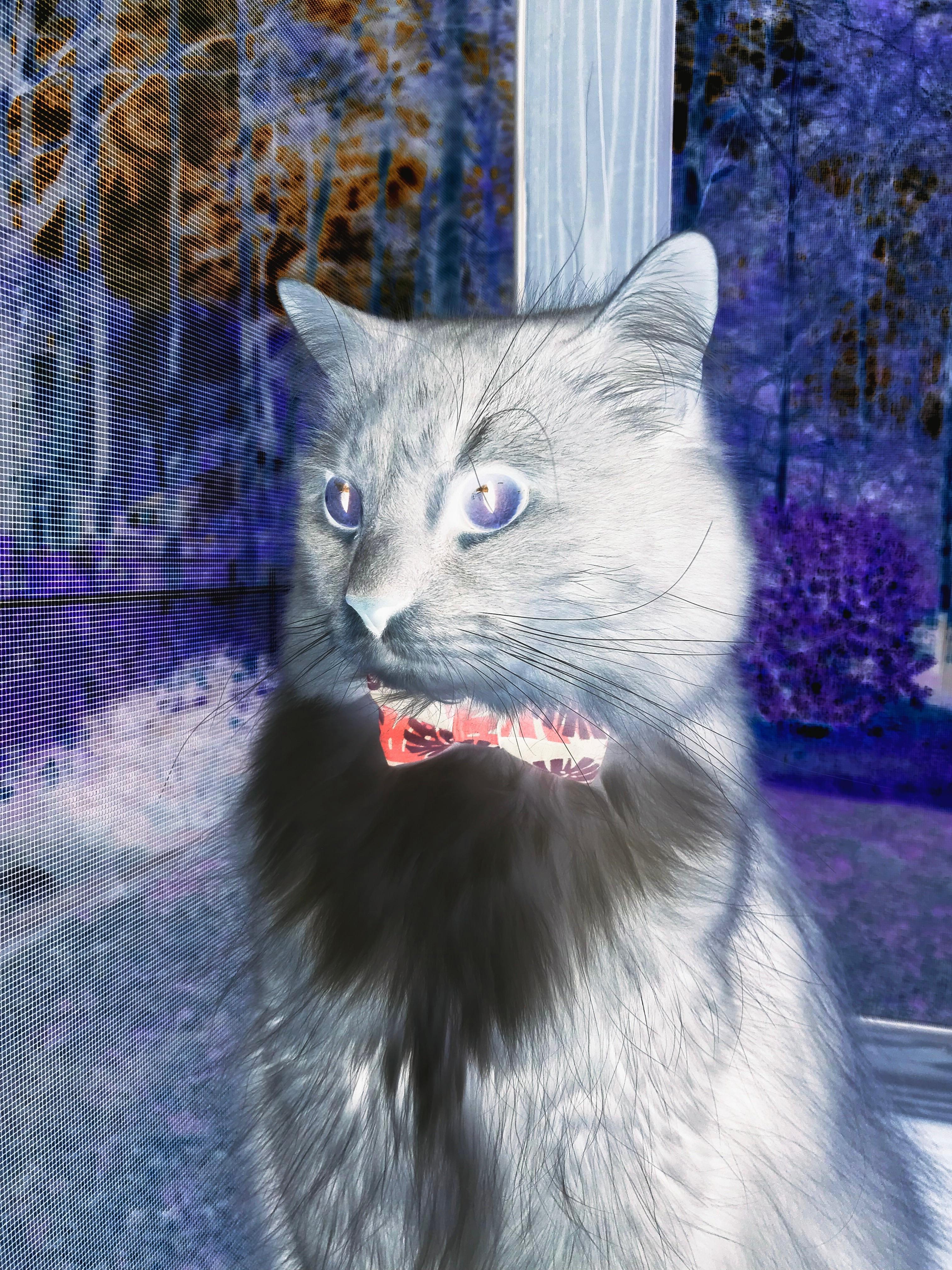 跨时空对轰，火箭三分暴雨浇灭华南虎，拉梅洛评分拉满上演未来篮球预言