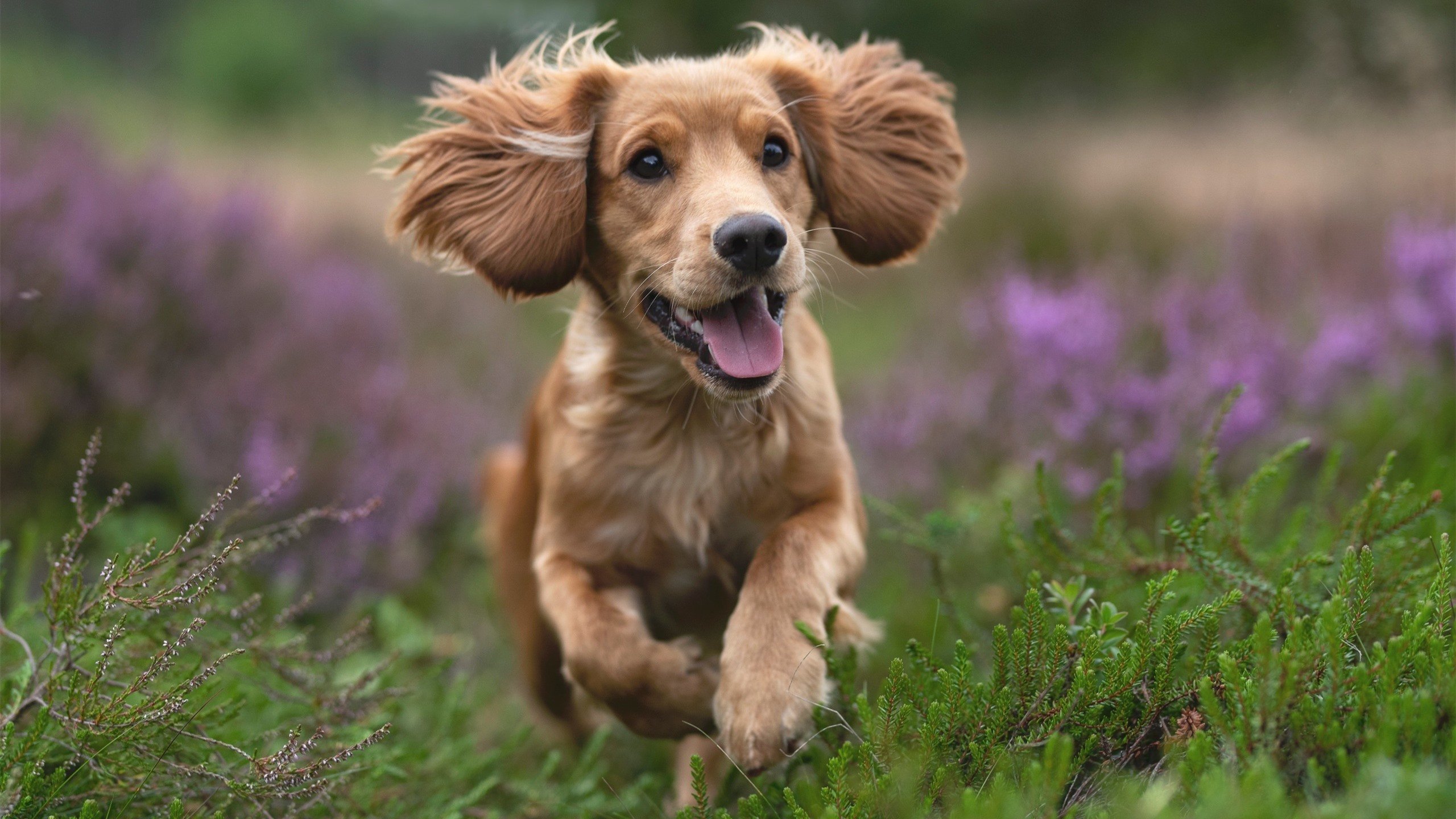 爱德华兹末节狂飙定乾坤，灰熊跨联盟激战险胜新疆队