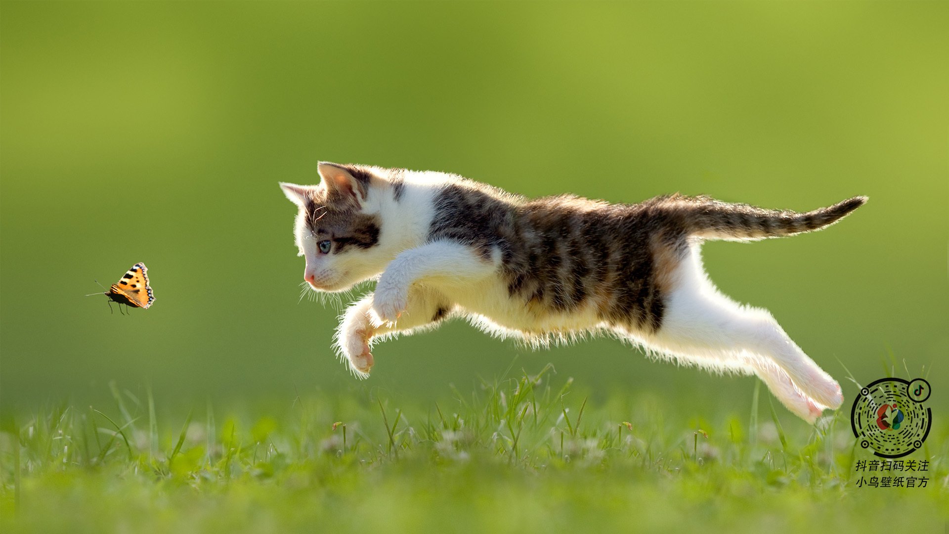 戈麦斯,F1争冠之夜的进攻之王,无人可挡的唯一性