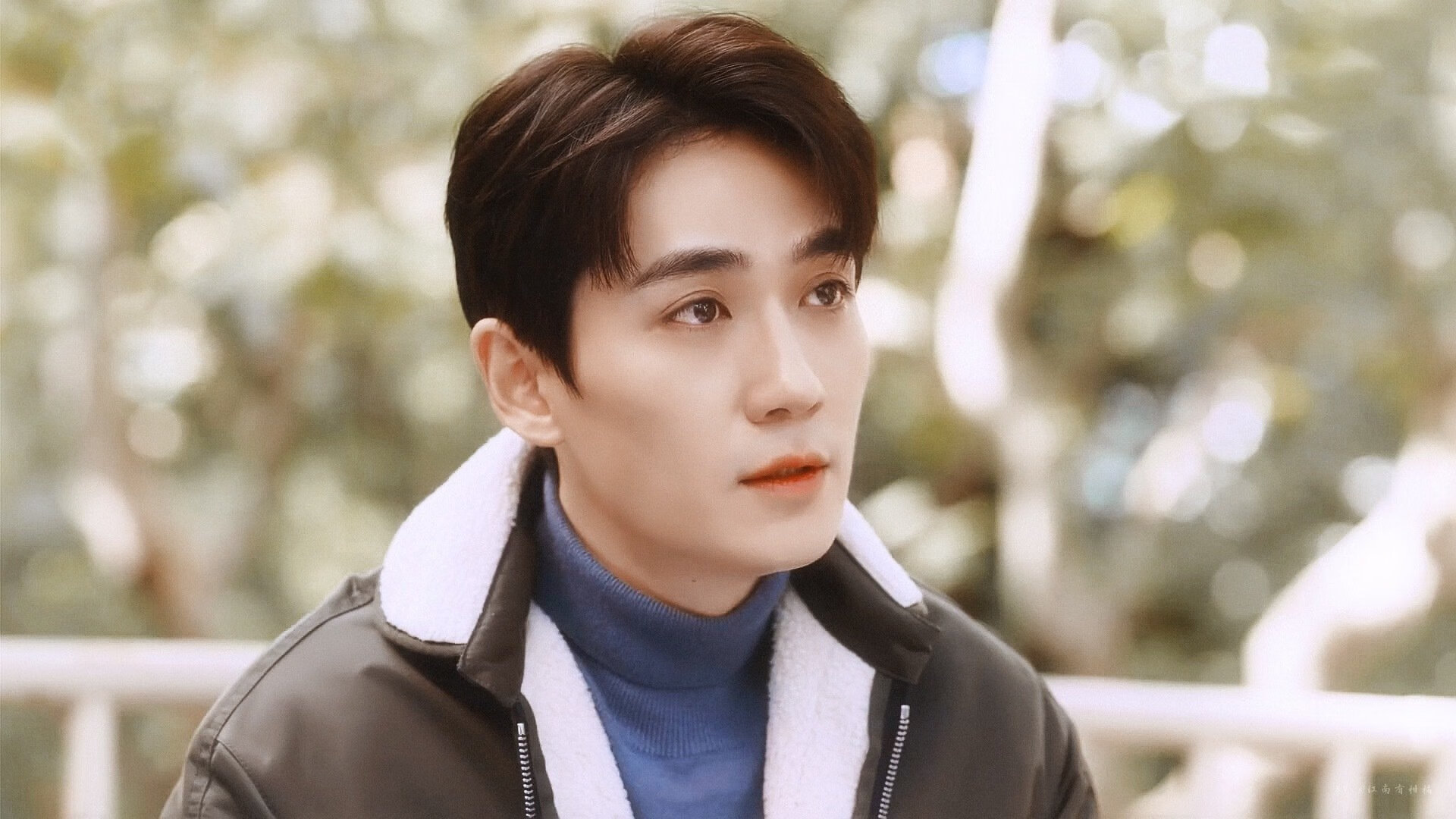 方案（选其一或作为参考）