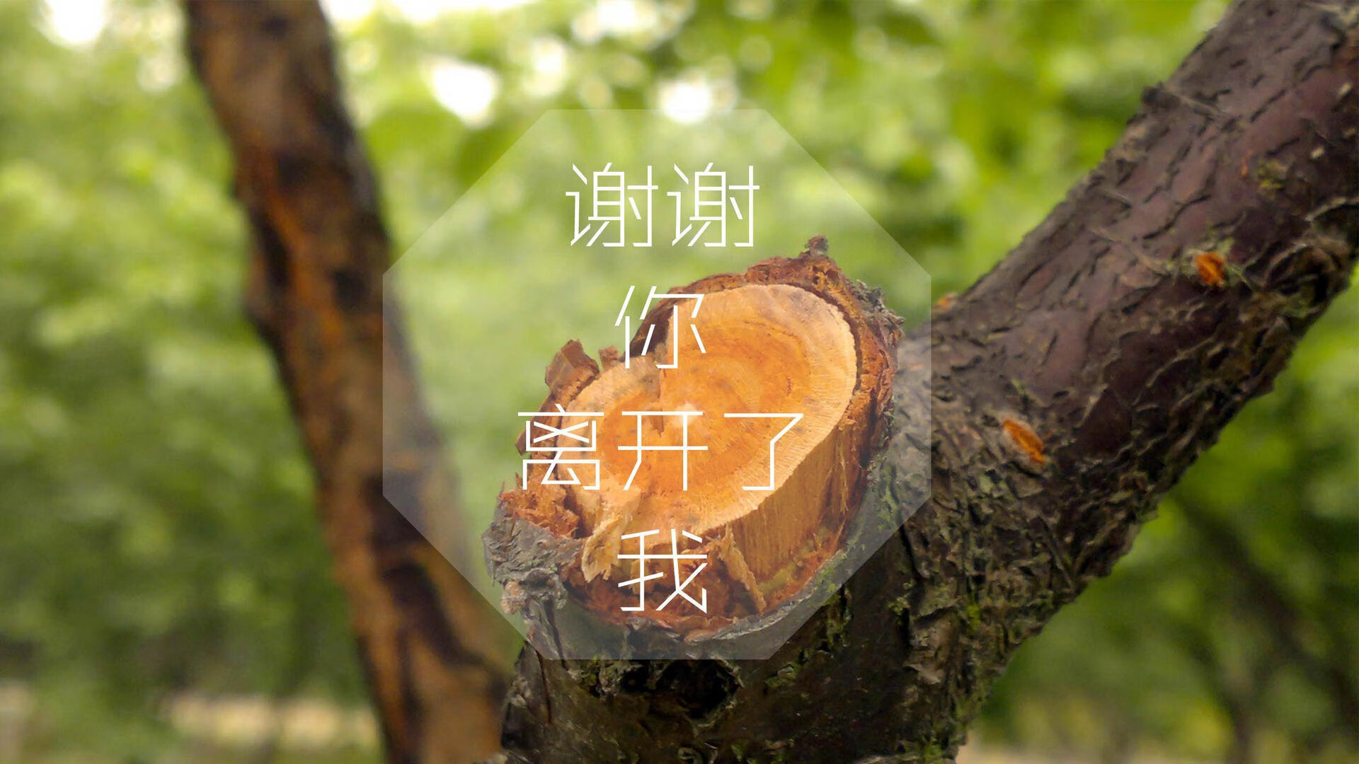 一夫当关,库尔图瓦如何用指尖重塑2026世界杯H组宿命对决