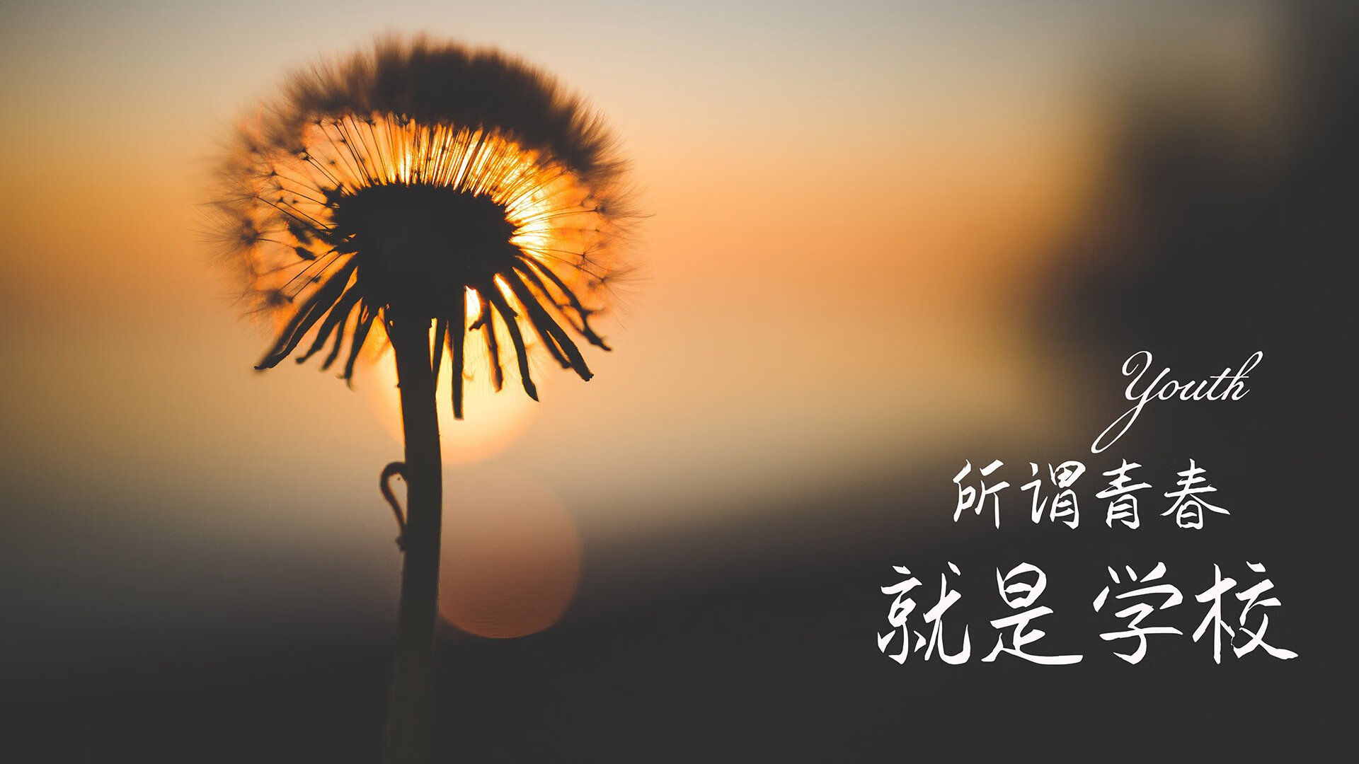 闪电战撕碎非洲雄狮,吉鲁两传一射,日本风暴席卷2026世界杯C组焦点战